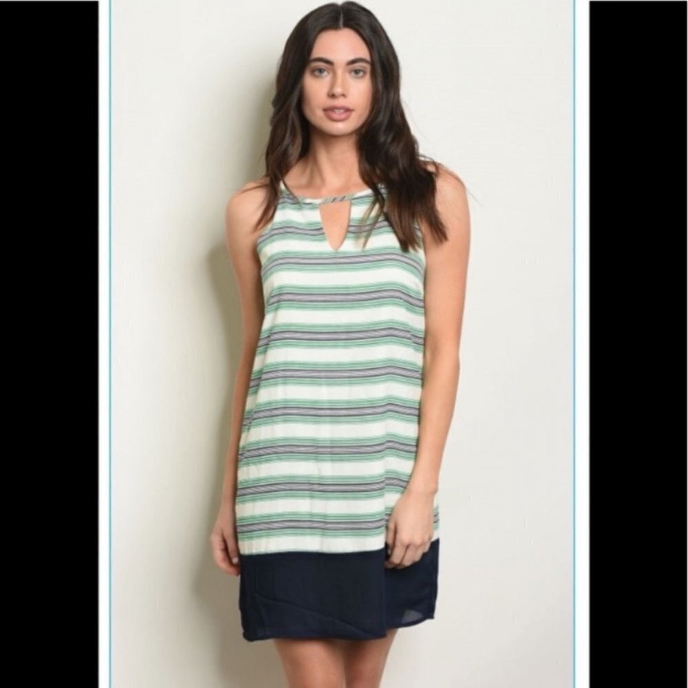 NWT Pink  Owl Striped Dress